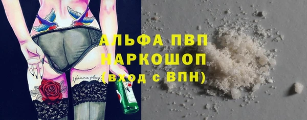 мяу мяу мука Бородино